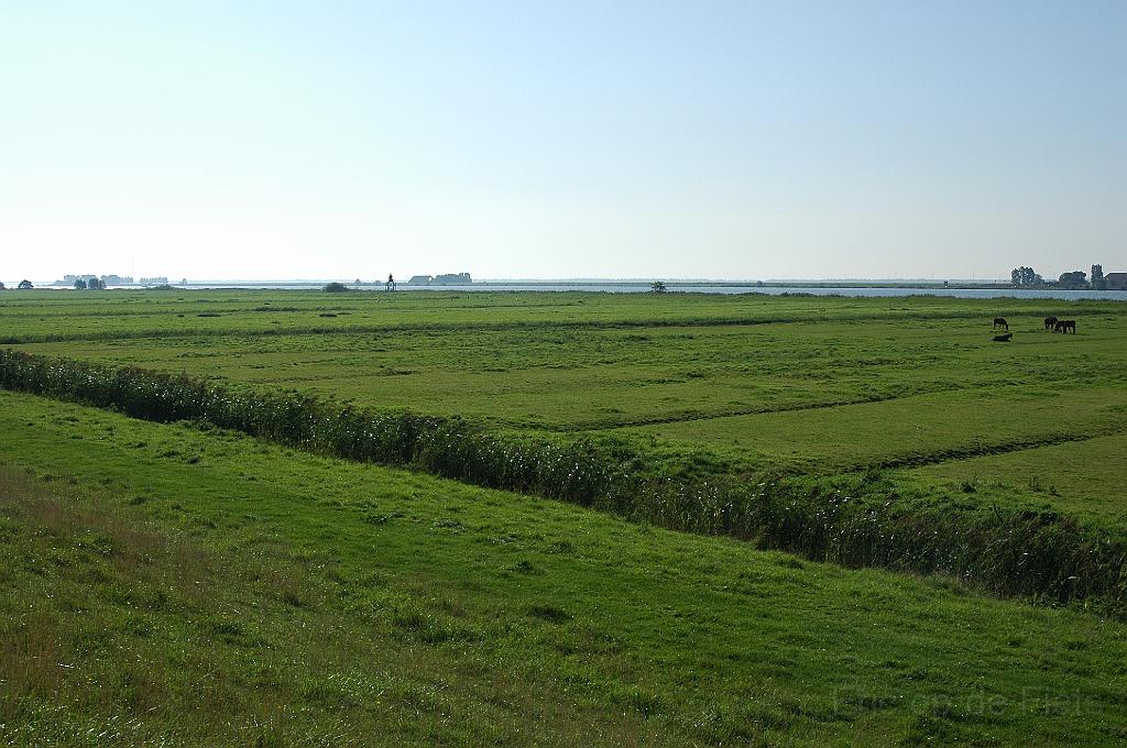 Nikon08442.JPG
